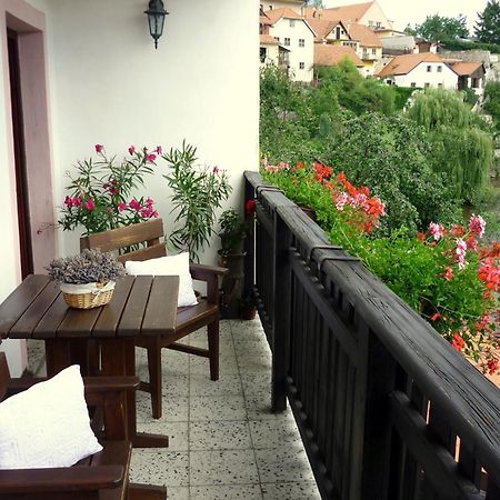Pension Plesivecka 119 Český Krumlov Extérieur photo