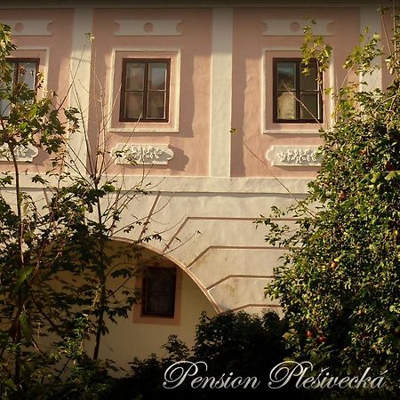 Pension Plesivecka 119 Český Krumlov Extérieur photo