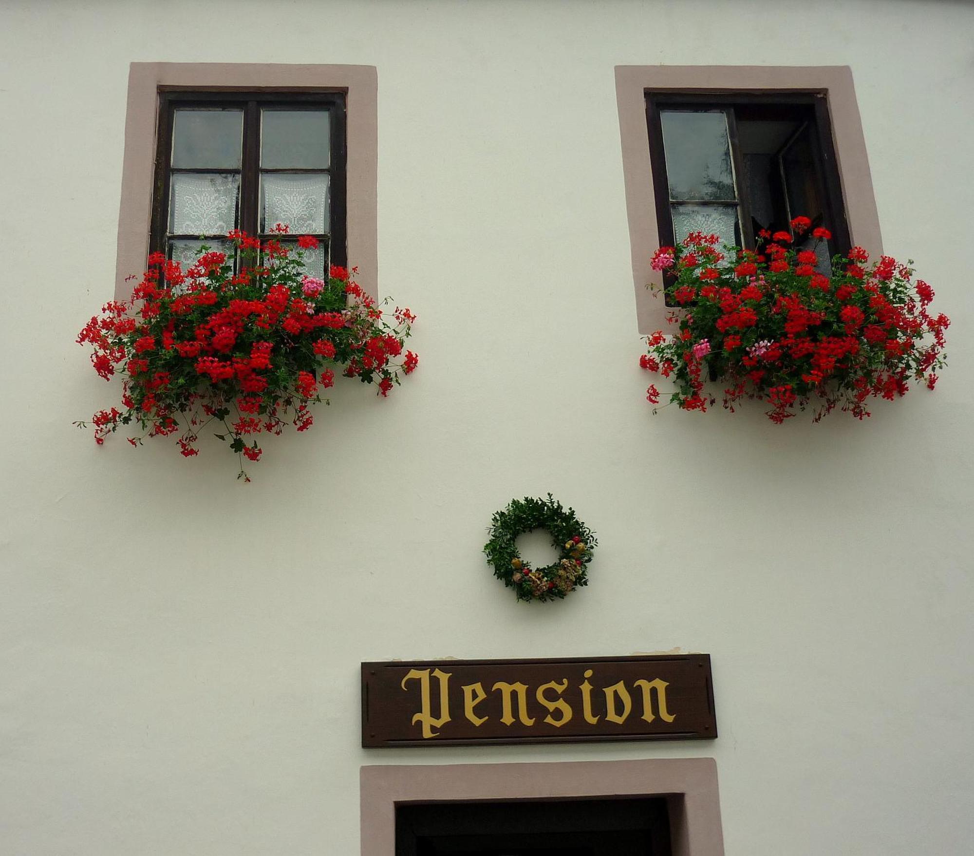 Pension Plesivecka 119 Český Krumlov Extérieur photo