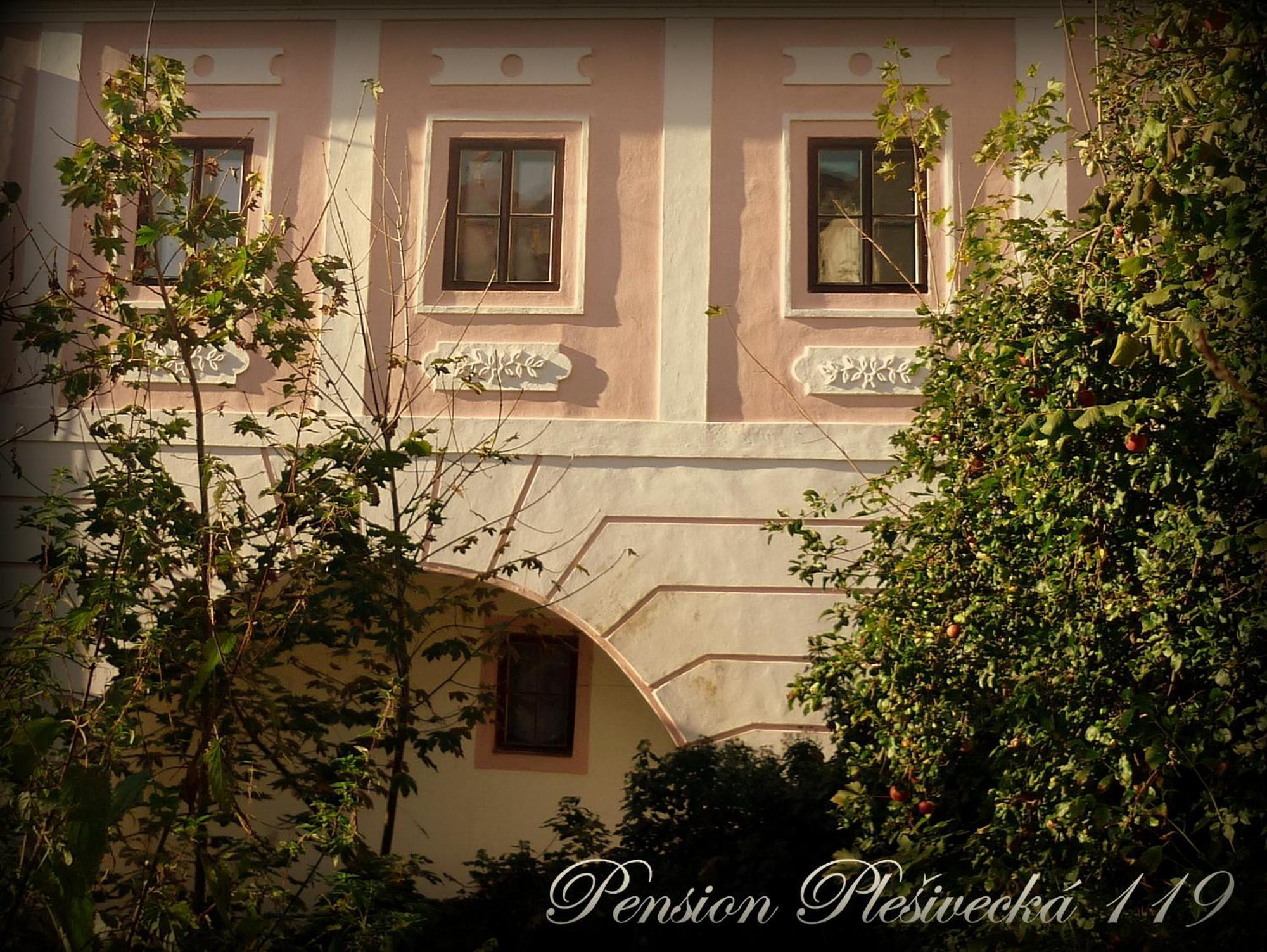 Pension Plesivecka 119 Český Krumlov Extérieur photo