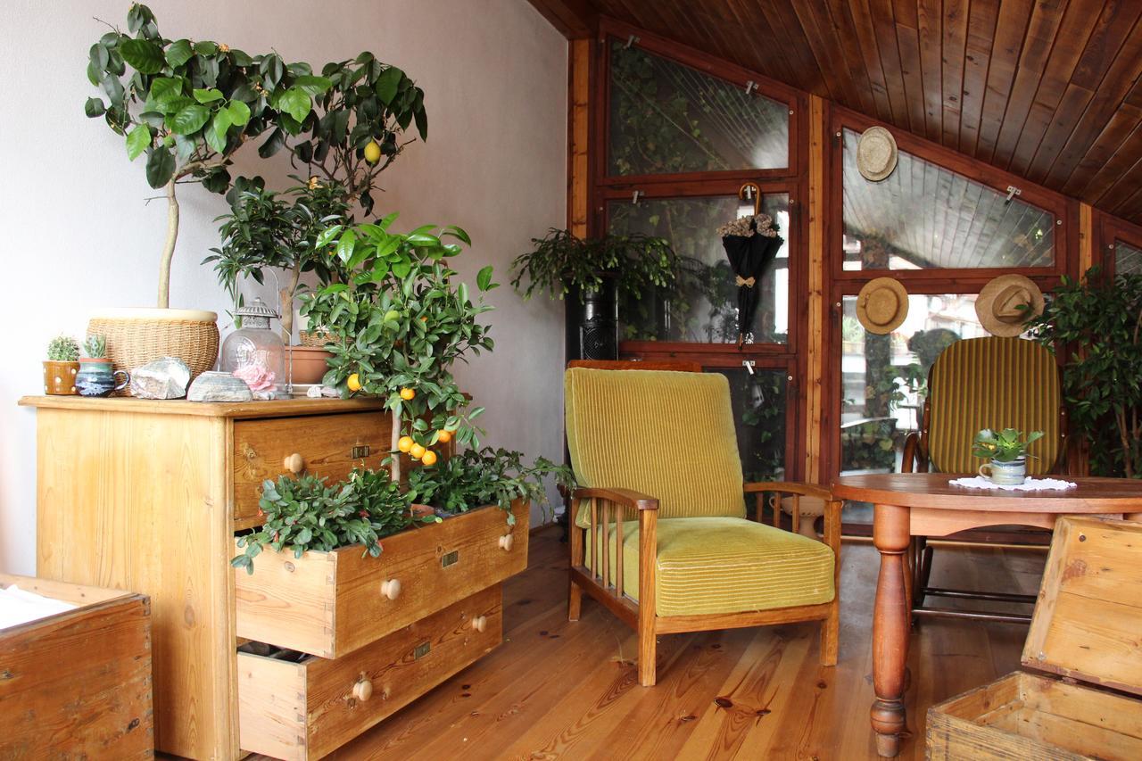 Pension Plesivecka 119 Český Krumlov Extérieur photo